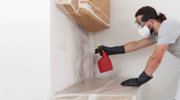 Professional Mold Removal technician working in Lawrenceville, IL