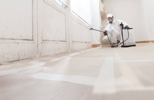 24/7 Emergency Mold Removal experts in Lawrenceville, IL